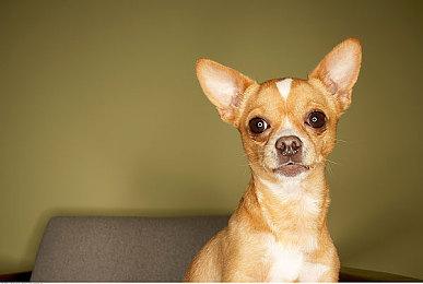 《控制》多人游戏和《马克思佩恩重制版》进入到制作阶段